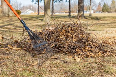 Improve the Appearance of Your Property with Brush Removal Service!