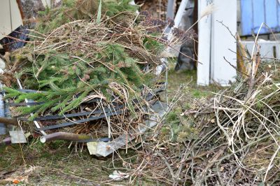 Remove Dry and Easily Combustible Brush from Your Property!