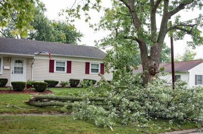 Clean Up After a Storm!