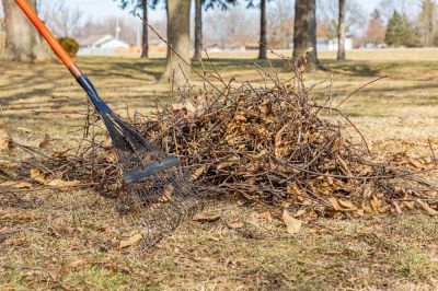 Prepare an Area for Landscaping!