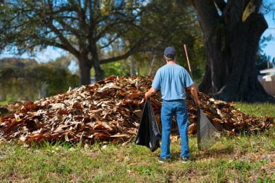 Get Organic Material Removed From Your Property
