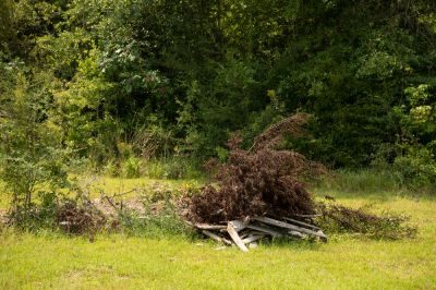Cluttered Tree Debris Can Be an Eyesore and Detract From The Look of Your Property