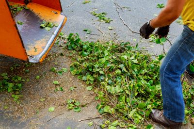 Getting Professional Removal Ensures That You Can Avoid These Many Problems