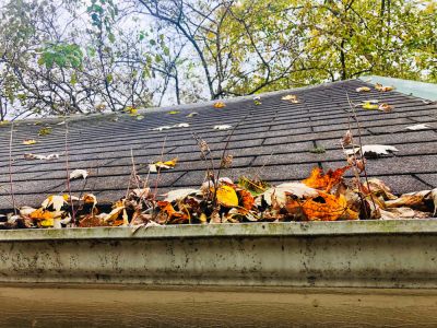 Tree Debris on Your Roof or Gutters Can Lead To a Host of Structural Problems and Damage