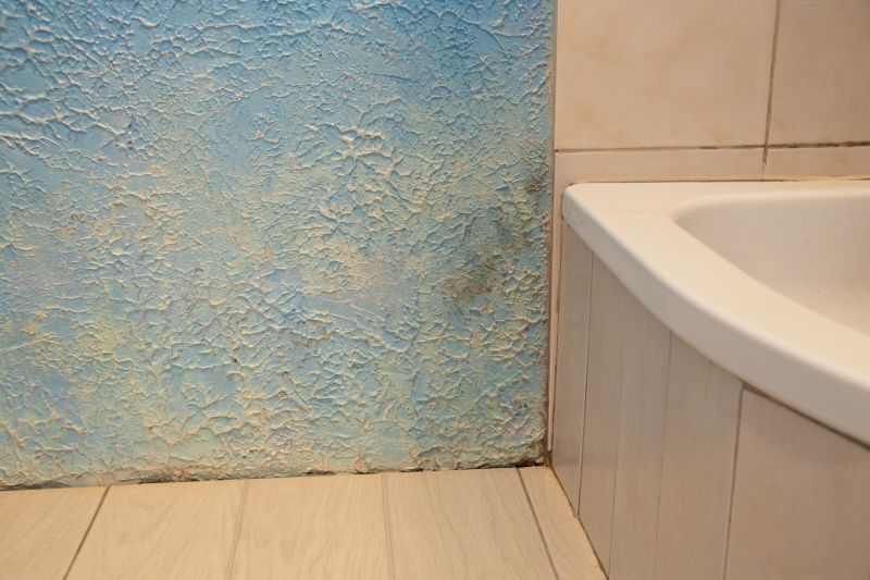 Bathroom Water Damage Repair in Conroe, TX