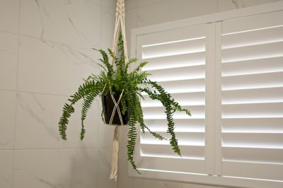 Choose from a Variety of Materials and Colors for Your Plantation Shutters!