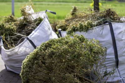Remove Bushes and Tree Branches