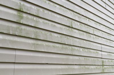 Remove Dirt, Grime, and Mold