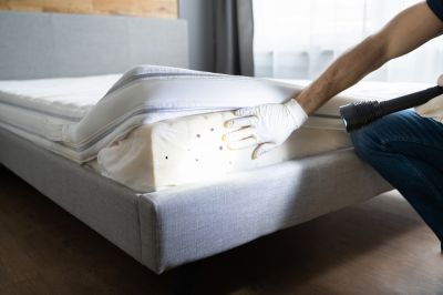 Eliminates bed bugs