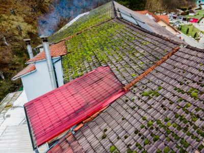 Remove Algae and Moss!