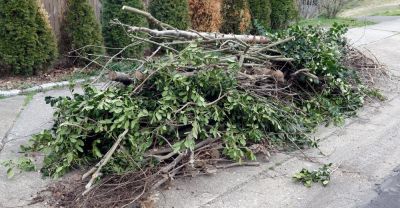 Remove and Dispose of Debris That Has Fallen After a Storm!