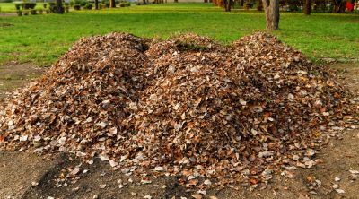 Remove Leaves from Your Property!